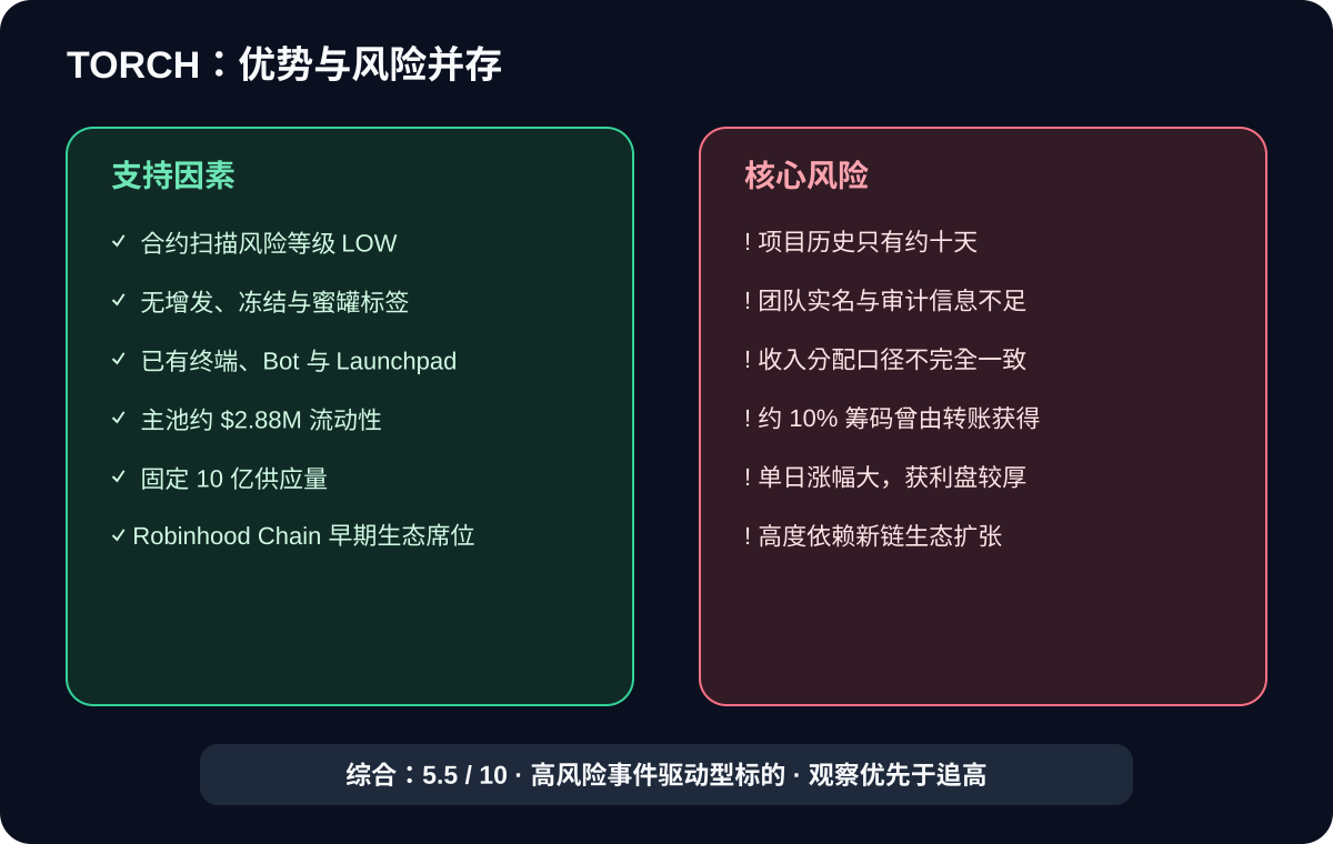 TORCH 优势与风险概览